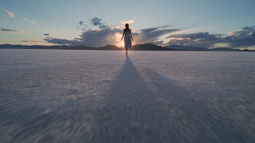 The Tree of Life Bild 2