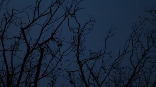 Ode to Big Booty Bitches Bild 1