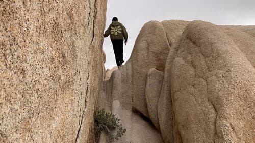 The Parallel Coast Bild 1