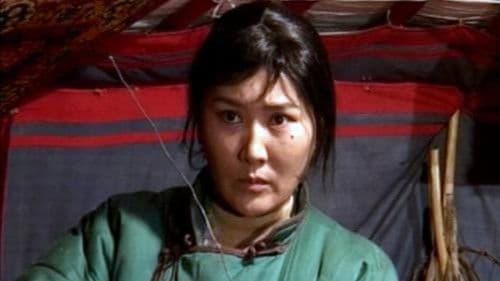 Жинжиймаа Bild 1