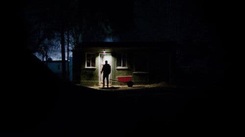 Tonight It's You Bild 1