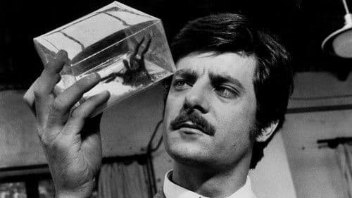 Der schwarze Leib der Tarantel Bild 7