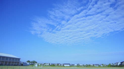 金沢シャッターガール Bild 1