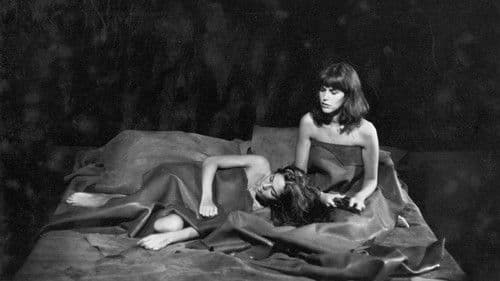 Quem é Beta? Bild 3