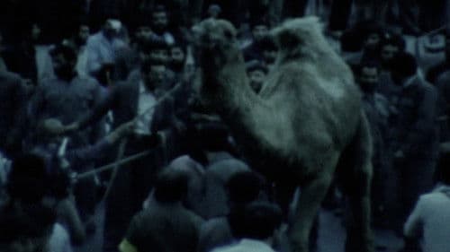 Slaughter (Besmel) Bild 1