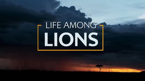 Life Among Lions Bild 1