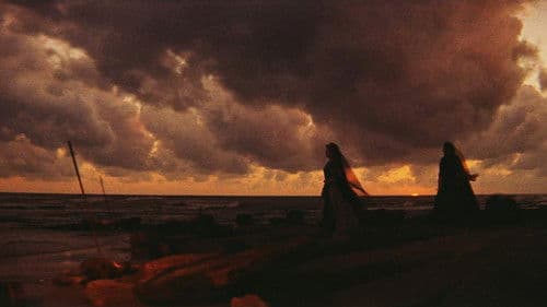 Die Rache der Wikinger Bild 6