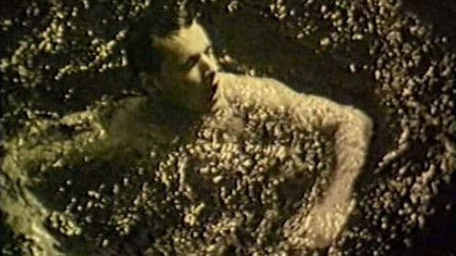 The Angelic Conversation Bild 5