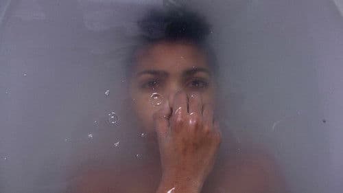 Krokodile ohne Sattel Bild 1