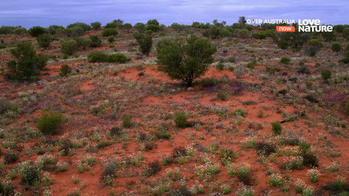 Over Australia Bild 5