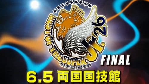 NJPW Best of the Super Junior 26 - Day 15 (Final) Bild 2