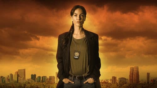 La Negociadora Bild 2