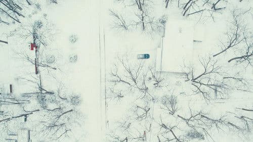 Dead of Winter Bild 1