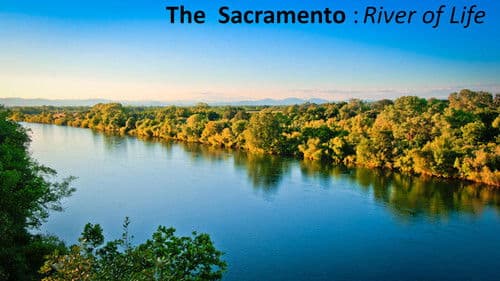 The Sacramento River of Life Bild 1