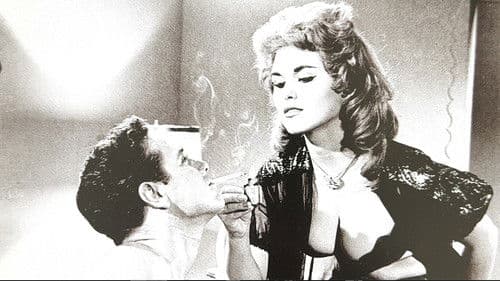 Please Don't Touch Me! Bild 1