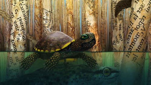 Bonjour le monde ! Bild 1