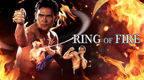 Bloodfist Fighter 2 - Tödliche Rache Bild 7