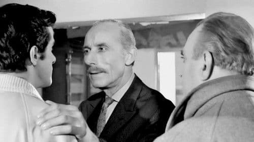 Κυνηγημένη προσφυγοπούλα Bild 1