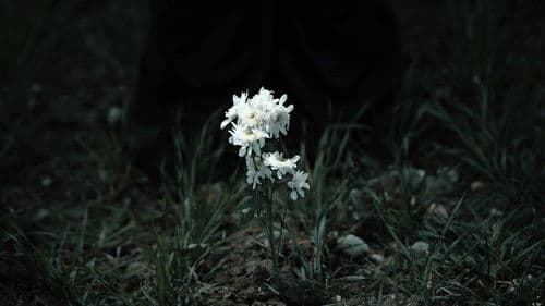 ٢٠٧٦: ئەو پێنووسەی مێژووی گۆڕی Bild 4