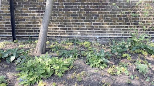 Everything and Nothing at the Same Time Bild 5