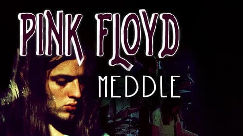 Rock Milestones: Pink Floyd: Meddle Bild 1