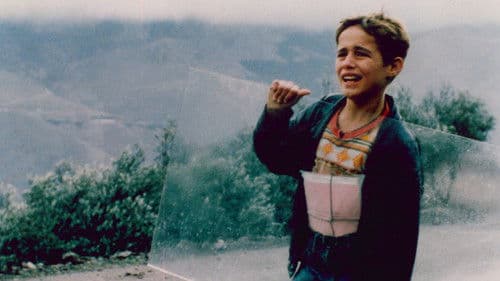 بید و باد Bild 2