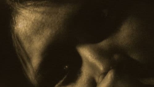 Silent Trespasser Bild 8