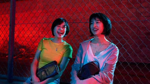 チワワちゃん Bild 5