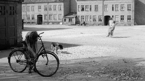 Das Rabenviertel Bild 2