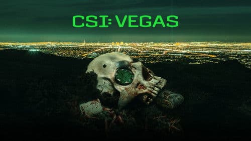 CSI: Vegas Bild 2