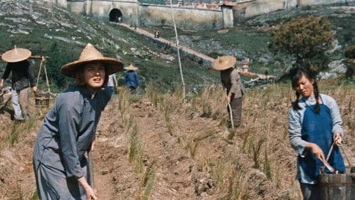 Die Herberge zur 6. Glückseligkeit Bild 8