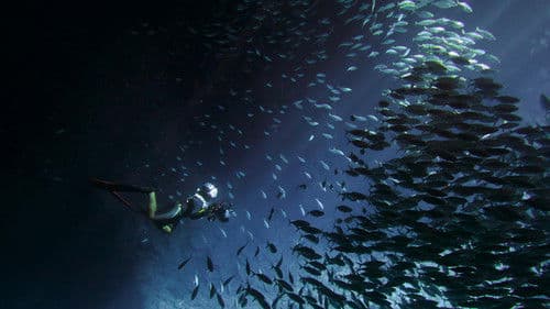 男人與他的海 Bild 2