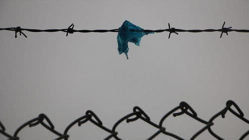 Blue Bag Life Bild 3