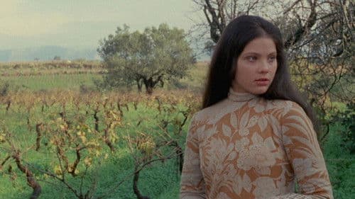 Recht und Leidenschaft Bild 2