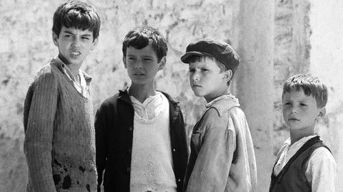 Tomka dhe shokët e tij Bild 2