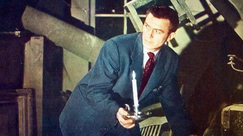 Money Madness Bild 2