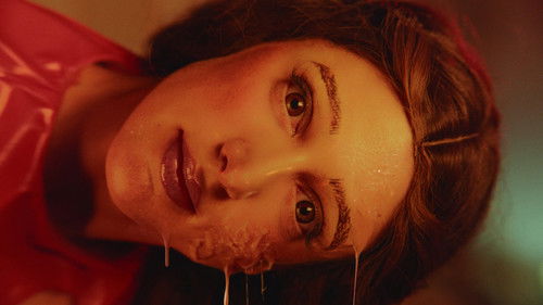 Plastic Touch Bild 1