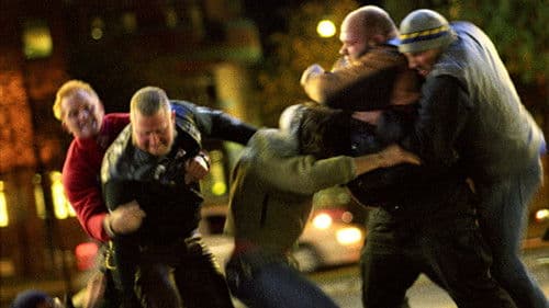 Der Gitarrenmongo Bild 3