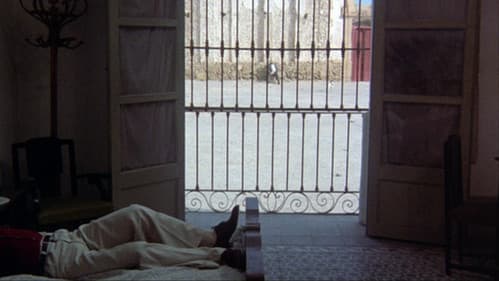 Beruf: Reporter Bild 8