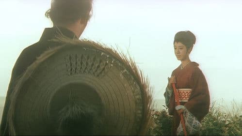 めくらのお市　みだれ笠 Bild 3