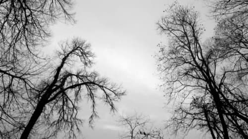 Spit and Ashes Bild 5