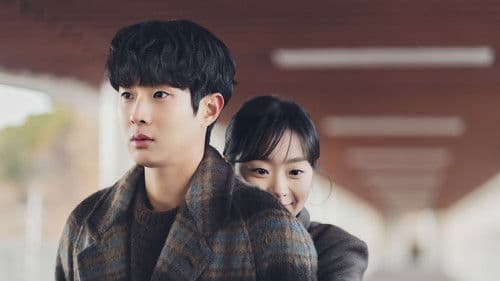 Our Beloved Summer Bild 7