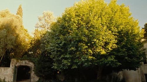 As Bodas de Deus Bild 6