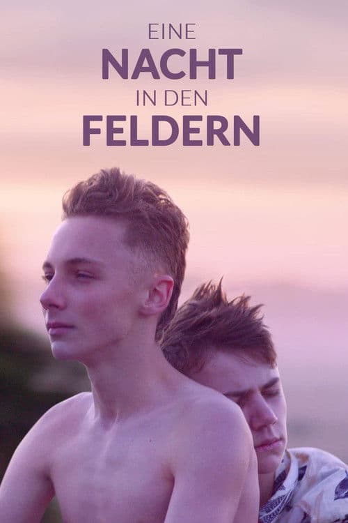 Eine Nacht in den Feldern