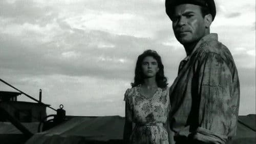 Valurile Dunării Bild 2