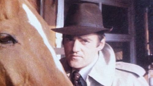 The Racing Game Bild 1