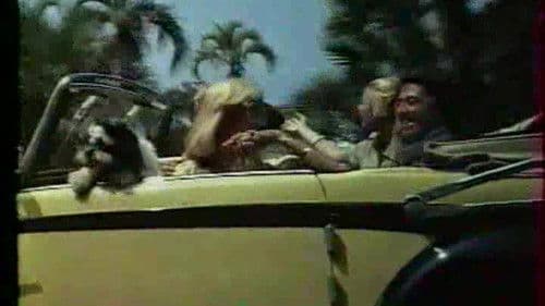 Pilska Julia på bröllopsresa! Bild 1