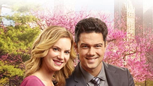 Marrying Mr. Darcy Bild 1