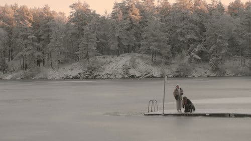 Bad Taxidermy Bild 1