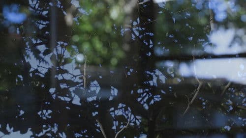 Lo Que Queda en la Tierra Bild 3